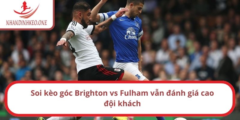 Soi kèo góc Brighton vs Fulham vẫn đánh giá cao đội khách